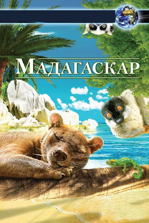 Смотреть фильм Мадагаскар 3D / Madagascar 3D (2013) онлайн в хорошем качестве HDRip