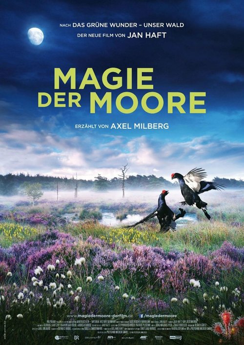 Смотреть фильм Магия болот / Magie der Moore (2015) онлайн в хорошем качестве HDRip