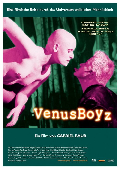 Смотреть фильм Мальчики Венеры / Venus Boyz (2002) онлайн в хорошем качестве HDRip