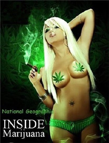 Смотреть фильм Marijuana Inc: Inside America's Pot Industry (2009) онлайн в хорошем качестве HDRip