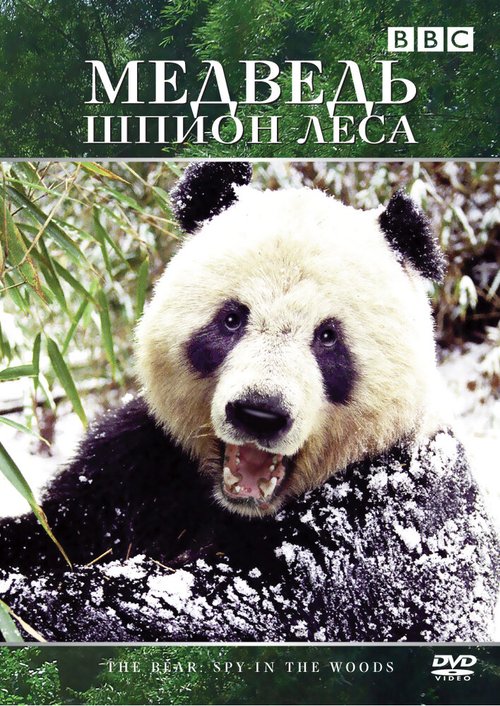 Смотреть фильм Медведь: Шпион леса / Bears: Spy in the Woods (2004) онлайн в хорошем качестве HDRip