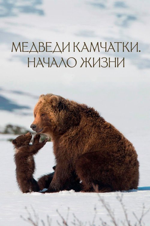 Смотреть фильм Медведи Камчатки. Начало жизни (2018) онлайн в хорошем качестве HDRip