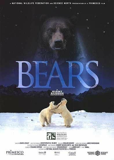 Смотреть фильм Медведи / Bears (2004) онлайн в хорошем качестве HDRip