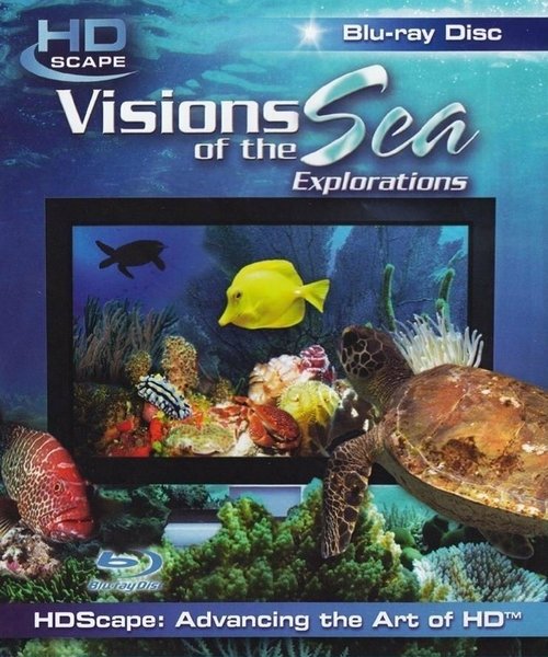 Смотреть фильм Морские виды / Visions of the Sea: Explorations (2007) онлайн в хорошем качестве HDRip