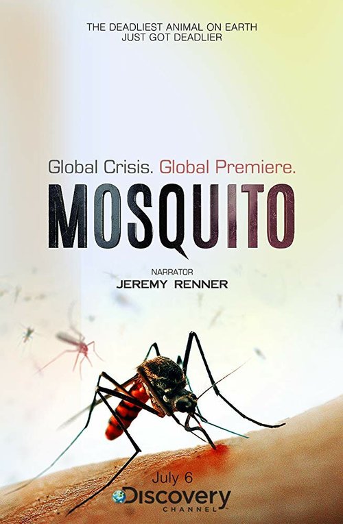 Смотреть фильм Москиты / Mosquito (2017) онлайн в хорошем качестве HDRip