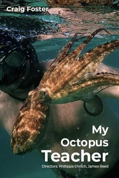 Смотреть фильм Мой учитель-осьминог / My Octopus Teacher (2020) онлайн в хорошем качестве HDRip