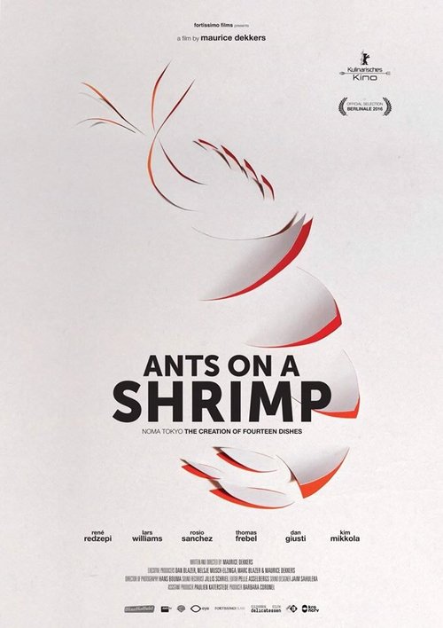 Муравьи на креветке / Ants on a Shrimp