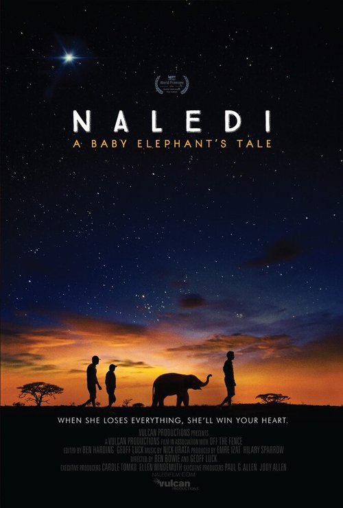 Смотреть фильм Naledi: A Baby Elephant's Tale (2016) онлайн в хорошем качестве CAMRip