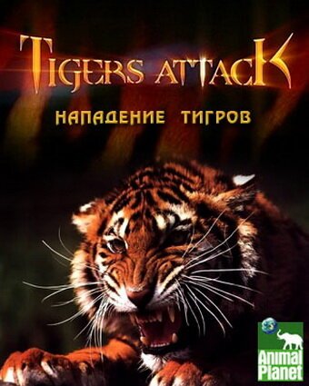 Смотреть фильм Нападение тигров / Tigers Attack (2007) онлайн в хорошем качестве HDRip