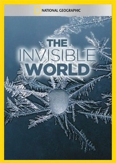 Смотреть фильм National Geographic: The Invisible World (1979) онлайн в хорошем качестве SATRip