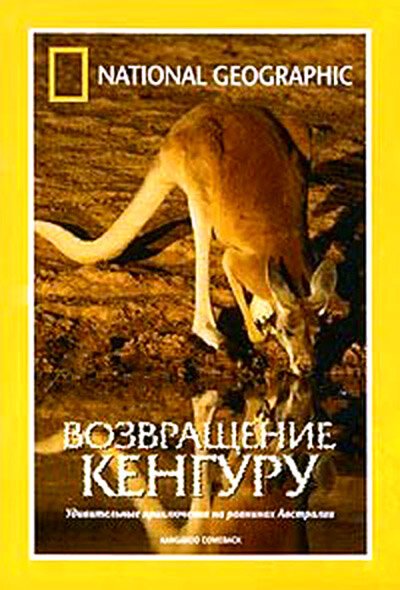 Смотреть фильм National Geographic: Возвращение кенгуру / National Geographic: Kangaroo comeback (1998) онлайн в хорошем качестве HDRip