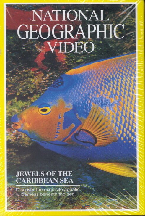 Смотреть фильм National Geographic: Жемчужины Карибского моря / Jewels of the Caribbean Sea (1994) онлайн в хорошем качестве HDRip