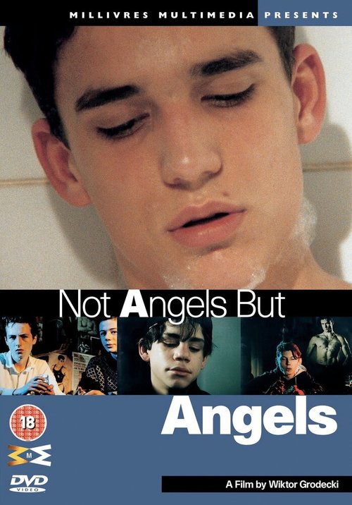 Смотреть фильм Не ангелы, но ангелы / Not Angels But Angels (1994) онлайн в хорошем качестве HDRip