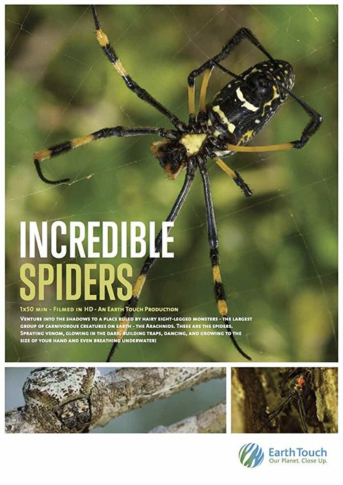 Смотреть фильм Невероятные пауки / Incredible Spiders (2016) онлайн в хорошем качестве CAMRip