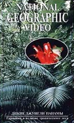 Смотреть фильм НГО: Дикие джунгли Панамы / NGS: Wild Panama (1996) онлайн в хорошем качестве HDRip