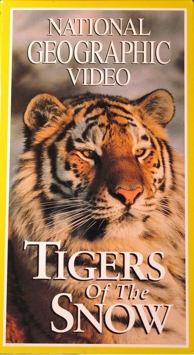 Смотреть фильм НГО: Сибирские тигры / Tigers of the Snow (1997) онлайн в хорошем качестве HDRip