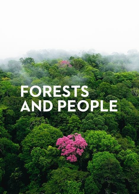 О лесах и людях / Des Forêts et des Hommes