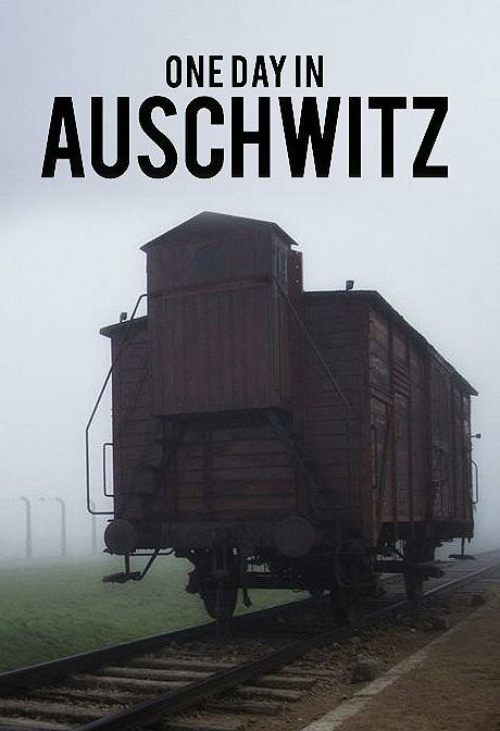 Смотреть фильм Один день в Освенциме / One Day in Auschwitz (2015) онлайн в хорошем качестве HDRip