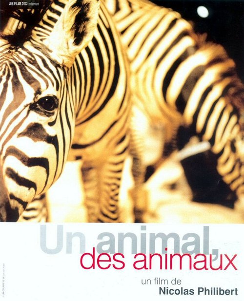 Смотреть фильм Один зверь, много зверей / Un animal, des animaux (1996) онлайн в хорошем качестве HDRip