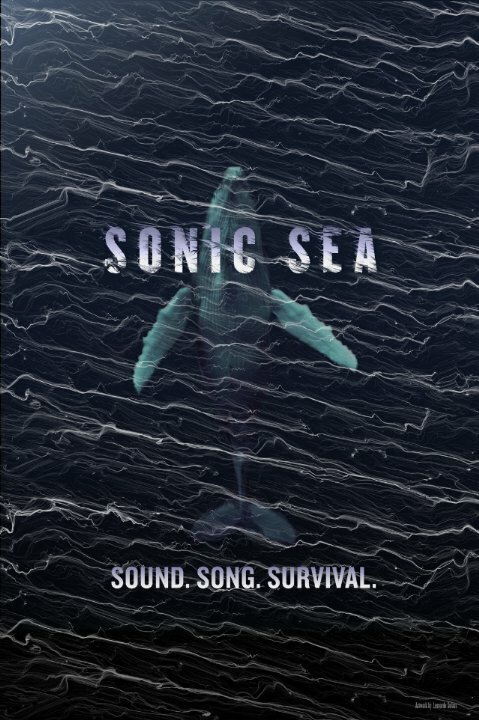 Оглушающий океан / Sonic Sea