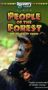 Смотреть фильм People of the Forest: The Chimps of Gombe (1988) онлайн 
