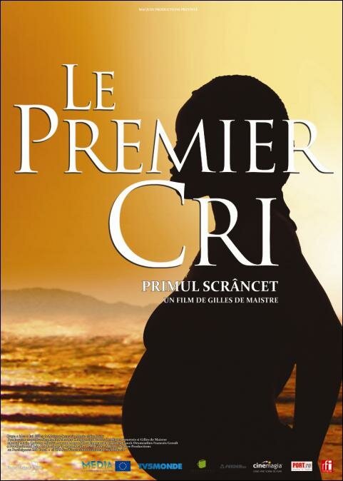 Смотреть фильм Первый плач / Le premier cri (2007) онлайн в хорошем качестве HDRip