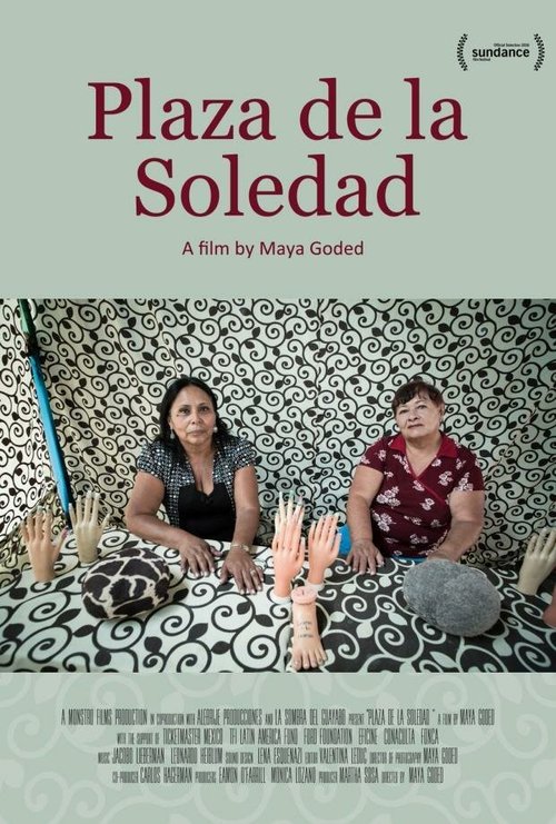 Смотреть фильм Площадь Соледад / Plaza de la Soledad (2016) онлайн в хорошем качестве CAMRip