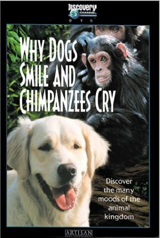Смотреть фильм Почему собаки улыбаются и шимпанзе плачут / Why Dogs Smile & Chimpanzees Cry (1999) онлайн в хорошем качестве HDRip