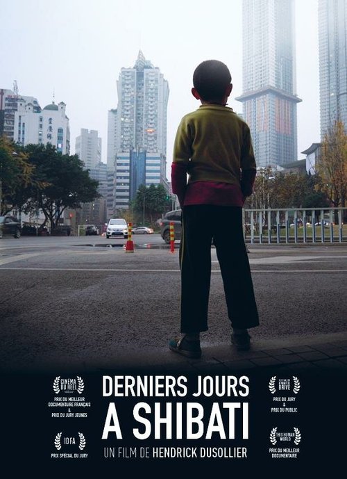 Смотреть фильм Последние дни в Шибати / Derniers jours à Shibati (2017) онлайн в хорошем качестве HDRip