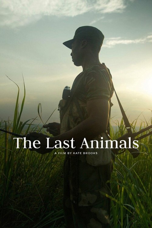 Смотреть фильм Последние животные / The Last Animals (2017) онлайн в хорошем качестве HDRip