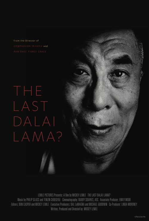 Смотреть фильм Последний Далай-лама? / The Last Dalai Lama? (2016) онлайн в хорошем качестве CAMRip