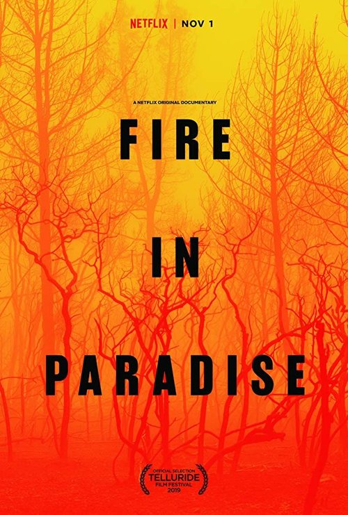 Смотреть фильм Пожар в раю / Fire in Paradise (2019) онлайн в хорошем качестве HDRip