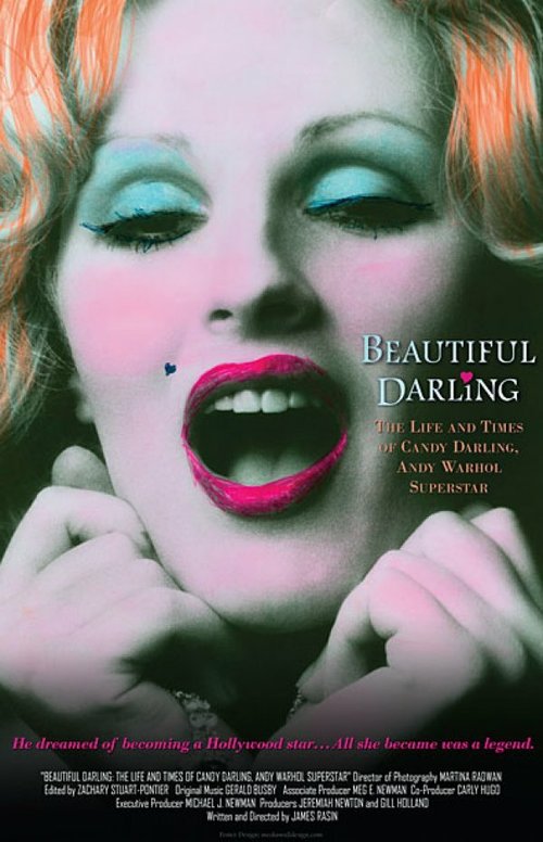 Смотреть фильм Прекрасная Дарлинг / Beautiful Darling (2010) онлайн в хорошем качестве HDRip