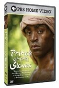 Смотреть фильм Prince Among Slaves (2007) онлайн 