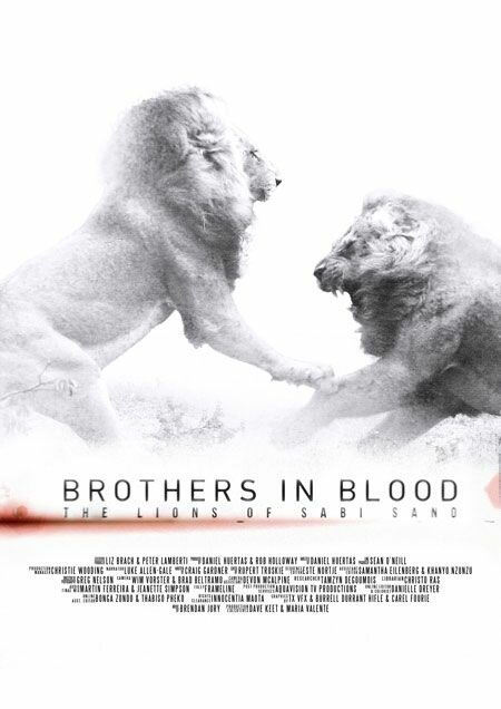 Смотреть фильм Прирожденные короли / Brothers in Blood: The Lions of Sabi Sand (2015) онлайн в хорошем качестве HDRip