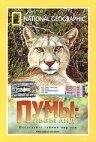Смотреть фильм Пумы: Львы Анд / Puma: Lion of the Andes (1996) онлайн в хорошем качестве HDRip