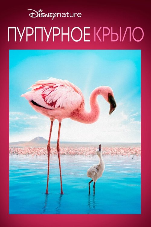 Смотреть фильм Пурпурное крыло / The Crimson Wing: Mystery of the Flamingos (2008) онлайн в хорошем качестве HDRip
