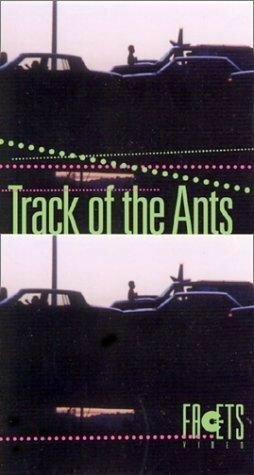 Путь муравьев / El camino de las hormigas