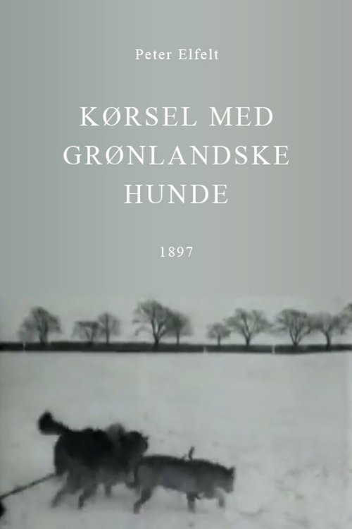 Смотреть фильм Путешествие в Гренландию на упряжке с собаками / Kørsel med grønlandske hunde (1897) онлайн 