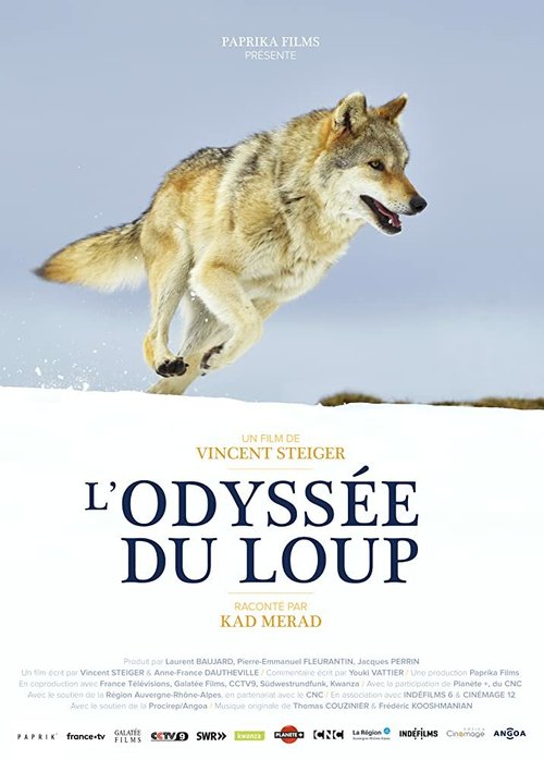 Путешествие волка / L'Odyssée du Loup