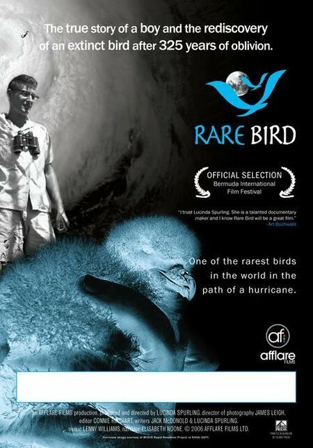 Смотреть фильм Rare Bird (2006) онлайн в хорошем качестве HDRip