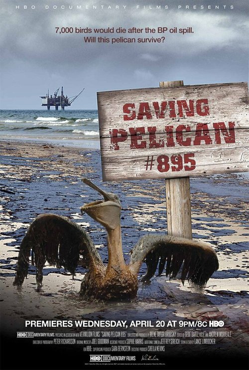 Смотреть фильм Saving Pelican 895 (2011) онлайн в хорошем качестве HDRip