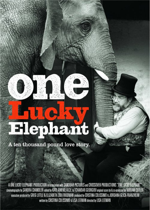 Смотреть фильм Счастливая слониха / One Lucky Elephant (2010) онлайн в хорошем качестве HDRip