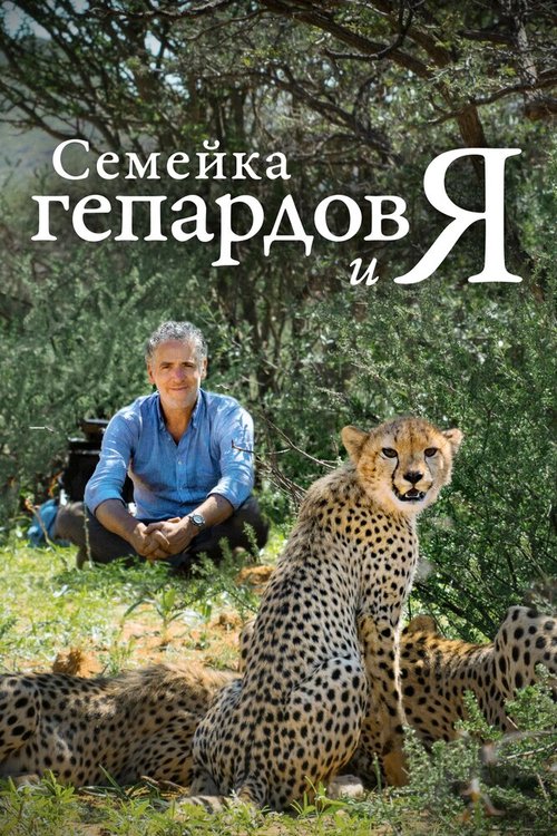 Смотреть фильм Семейка гепардов и я / Cheetah Family & Me (2021) онлайн в хорошем качестве HDRip
