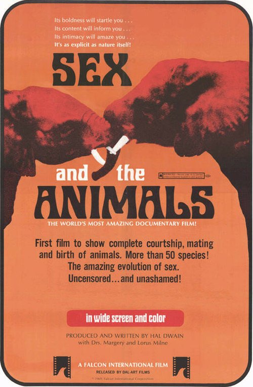 Смотреть фильм Sex and the Animals (1969) онлайн 