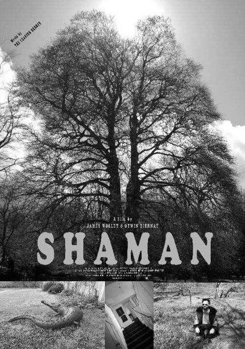 Смотреть фильм Shaman (2020) онлайн 