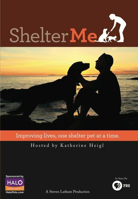Смотреть фильм Shelter Me (2012) онлайн в хорошем качестве HDRip