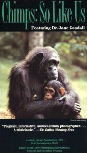 Смотреть фильм Шимпанзе: Такие же как мы / Chimps: So Like Us (1990) онлайн 