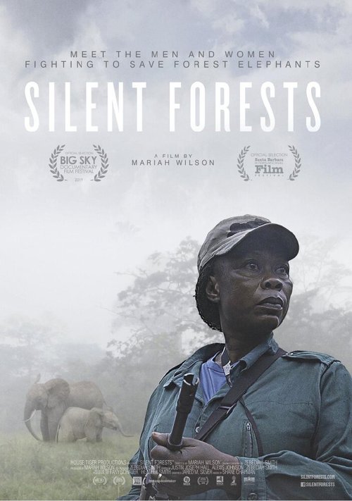 Смотреть фильм Silent Forests (2019) онлайн в хорошем качестве HDRip