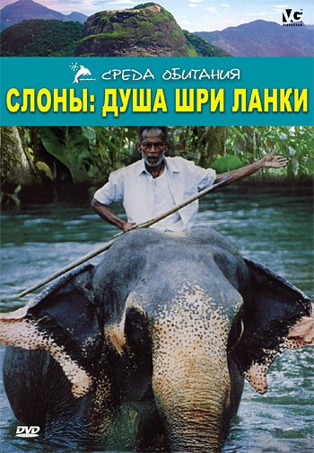 Смотреть фильм Слоны: Душа Шри-Ланки / Elephants: Soul of Sri Lanka (2000) онлайн 